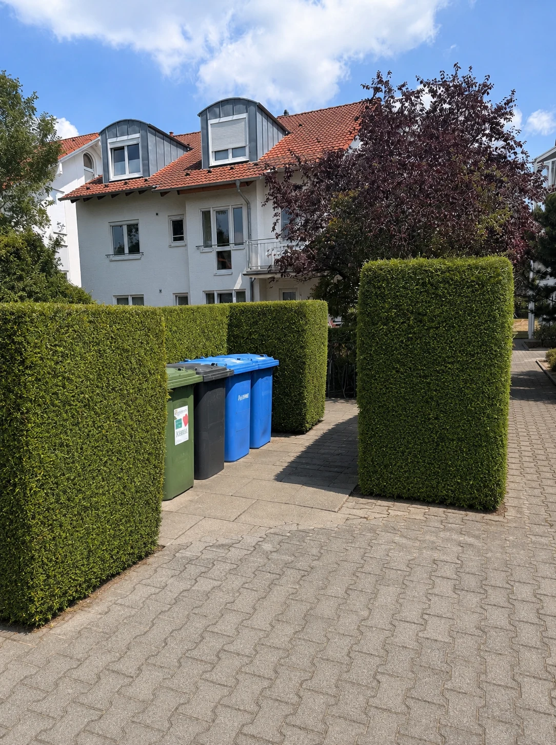 Gepflegter Hauseingang mit Hecke und gepflastertem Zugang