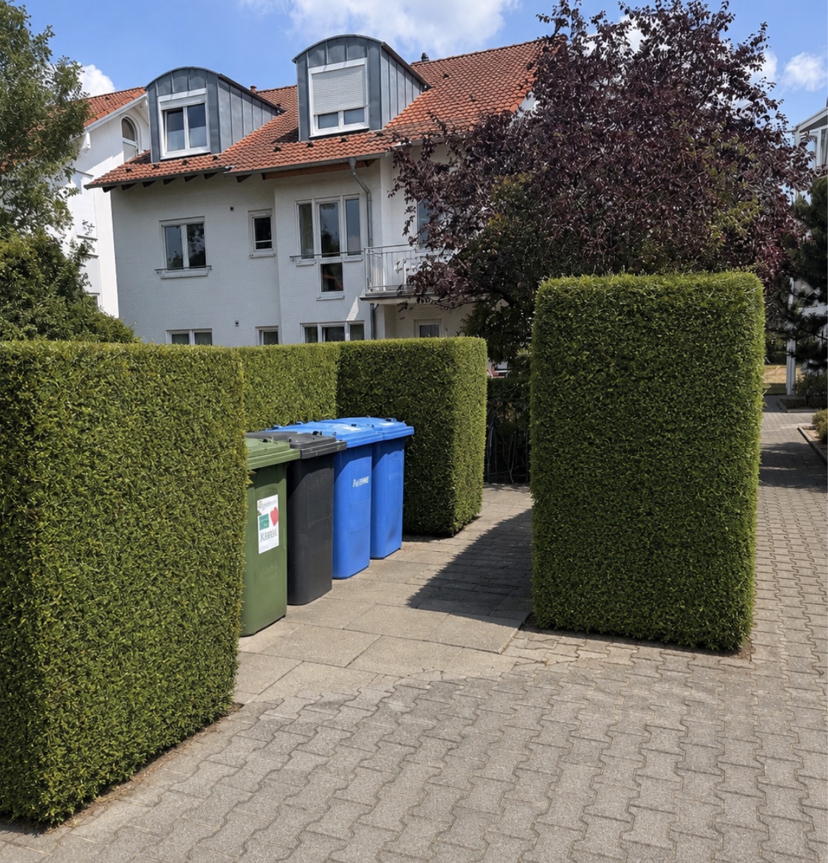 Gepflegte Hecken mit Hauseingang, gepflastertem Zugang und Haus im Hintergrund